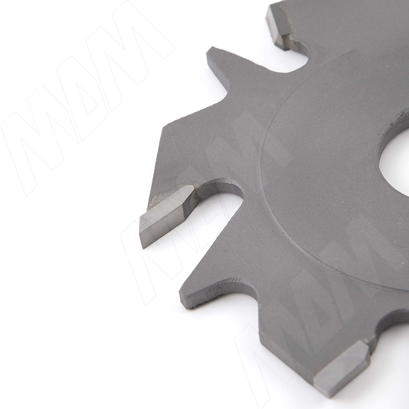 Фреза D100x22 мм для AB111N фото товара 3 - 1440080