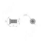 Винт с потайной головкой под крест, M6x12 WS M6X12KB/ШТ, фото 1