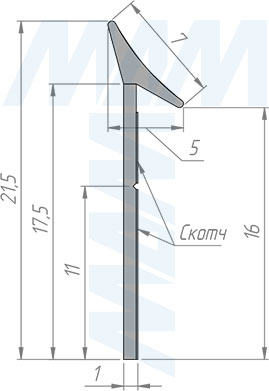 Размеры универсального уплотнительного плинтуса со скотчем (артикул STP.001S.50)