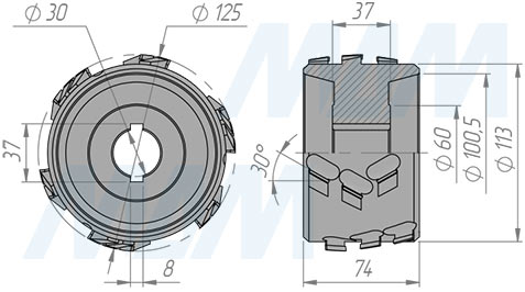 Размеры фрезы алмазной фуговальной 125х30xH43,6xZ3x4/S (артикул 6640018031)