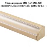 Заглушка торцевая для СМ1/CM2, золото матовое LSPA-CAP-CM1/2-GL, фото 4