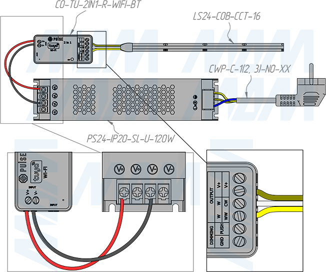 Подключение контроллера SMART для монохромных и CCT светодиодных лент, 2.4 ГГц, WiFi, Tuya (артикул CO-TU-2IN1-R-WIFI-BT), схема 2