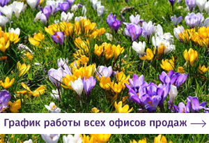 Графики работы офисов продаж МДМ 8 марта