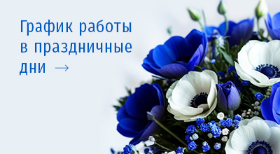 Графики работы офисов продаж МДМ 6, 7, 8 и 9 марта 2026 года