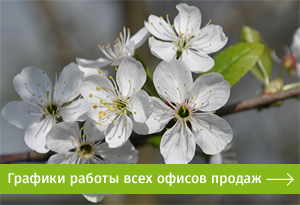 Графики работы офисов продаж МДМ на майские праздники